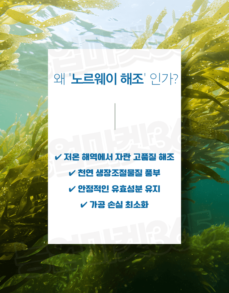 농업마켓365님의 장터 판매 상품 [알가 ALGA 500ml 노르웨이 고농축 해조추출물 32% 생육촉진 냉해피해경감 서리피해경감] 첨부 사진