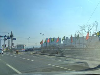 MSG0074님의 자유주제·자유게시판 작성글 사진