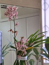 MSG0074님의 자유주제·자유게시판 작성글 사진