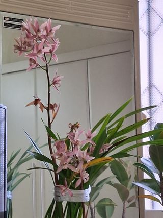 MSG0074님의 자유주제 · 자유게시판 작성글 사진