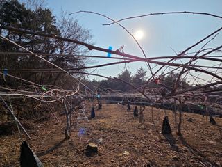 노고단님의 자유주제 · 자유게시판 작성글 사진