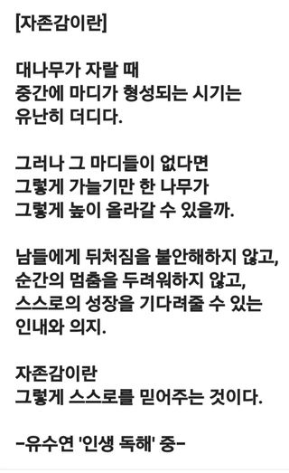 (팽나무*공주)님의 자유주제 · 자유게시판 작성글 사진