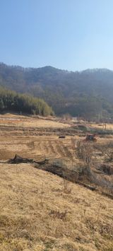 서녕영더기님의 자유주제·자유게시판 작성글 사진