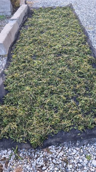 서정순님의 자유주제 · 자유게시판 작성글 사진