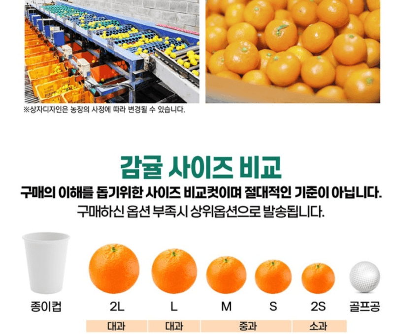 스피드번님의 장터 판매 상품 [특가 하우스 비가림 감귤] 첨부 사진