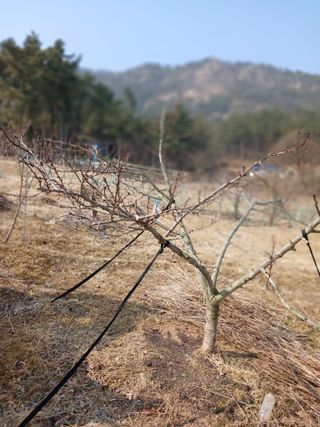 두릅나무10495님의 자유주제 · 사진전 작성글 사진