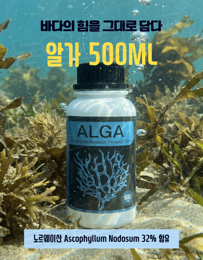 농업마켓365님의 장터 판매 상품 [알가 ALGA 500ml 노르웨이 고농축 해조추출물 32% 생육촉진 냉해피해경감 서리피해경감] 첨부 사진