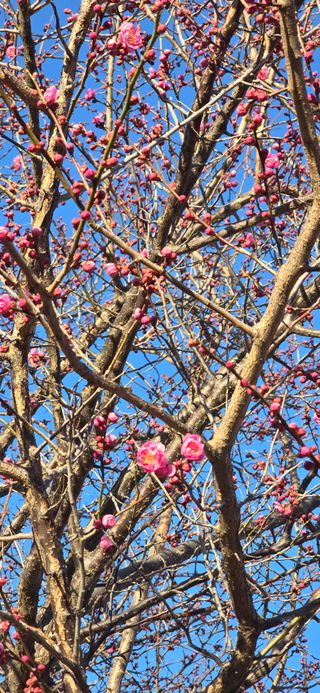 빛그린 김용화님의 자유주제 · 자유게시판 작성글 사진