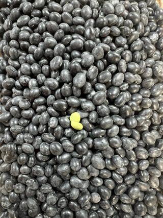 강원도농산물님의 자유주제 · 자유게시판 작성글 사진