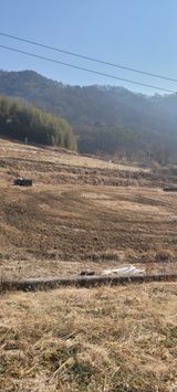 서녕영더기님의 자유주제·자유게시판 작성글 사진