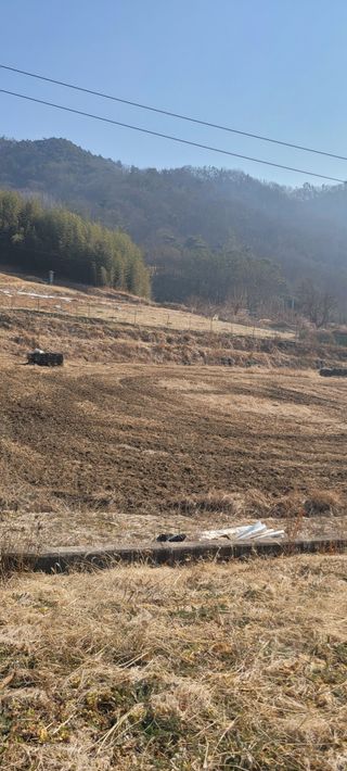 서녕영더기님의 자유주제 · 자유게시판 작성글 사진