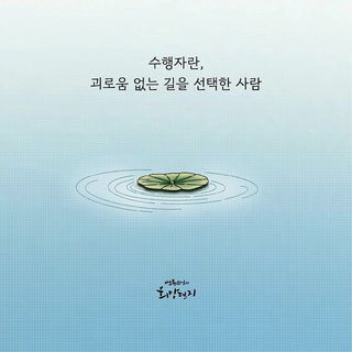 (팽나무*공주)님의 자유주제 · 자유게시판 작성글 사진