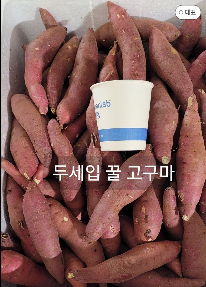 사랑꽃농장님의 장터 판매 상품 [두세입  꿀 고구마10kg28.000] 첨부 사진
