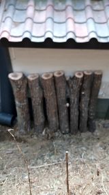 팜모닝 자유주제·자유게시판 게시글 이미지