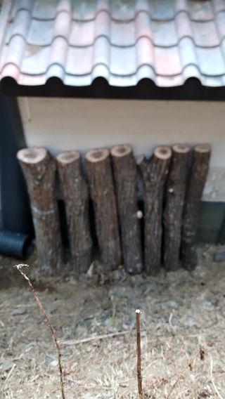 산솔바람님의 자유주제 · 자유게시판 작성글 사진