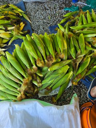 서정순님의 자유주제 · 자유게시판 작성글 사진