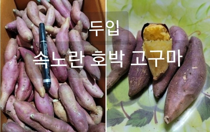 사랑꽃농장님의 장터 판매 상품 [두세입  꿀 고구마10kg28.000] 첨부 사진