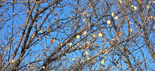 빛그린 김용화님의 자유주제 · 자유게시판 작성글 사진