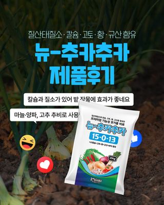 누보농장님의 자유주제·자유게시판 작성글 사진