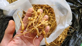 산솔바람님의 자유주제 · 자유게시판 작성글 사진