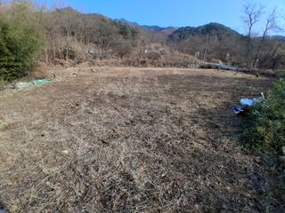 꿀고구마오수정님의 자유주제 · 자유게시판 작성글 사진