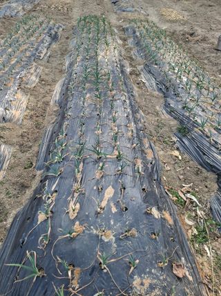 배윤환님의 자유주제 · 자유게시판 작성글 사진