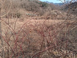 꿀고구마오수정님의 자유주제 · 자유게시판 작성글 사진