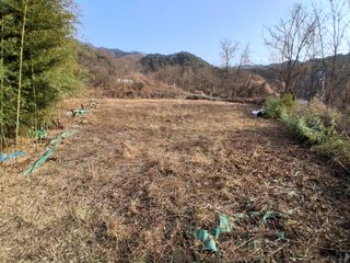 꿀고구마오수정님의 자유주제 · 자유게시판 작성글 사진