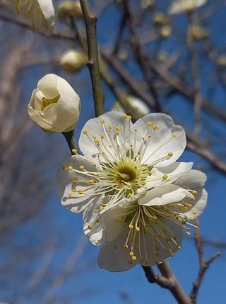 연향님의 자유주제 · 자유게시판 작성글 사진