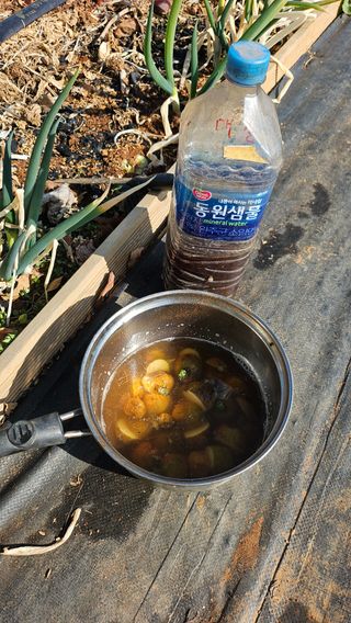 유기농으로키우자님의 자유주제 · 자유게시판 작성글 사진