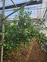 팜모닝 자유주제·자유게시판 게시글 이미지