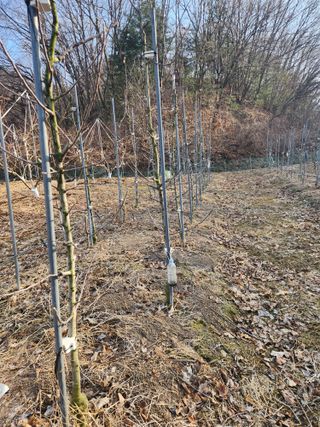 행복농원님의 자유주제 · 자유게시판 작성글 사진