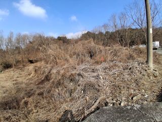 꿀고구마오수정님의 자유주제 · 자유게시판 작성글 사진