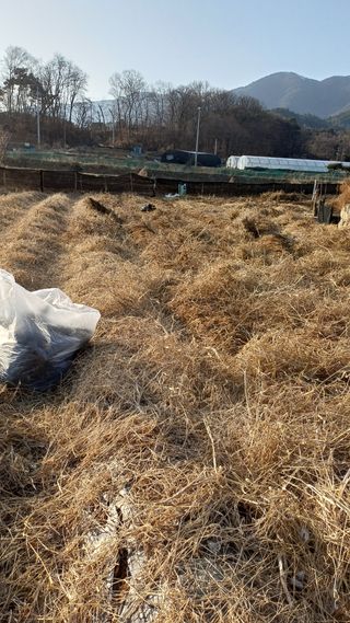 박순덕님의 자유주제 · 자유게시판 작성글 사진