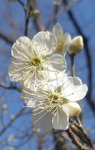 연향님의 자유주제 · 자유게시판 작성글 사진