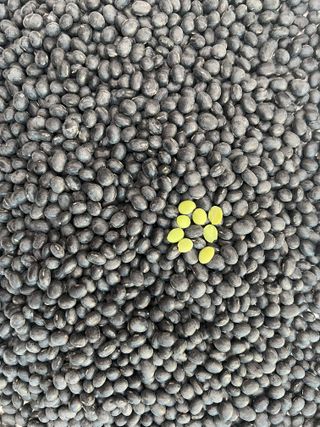 박금선 님의 자유주제 · 자유게시판 작성글 사진