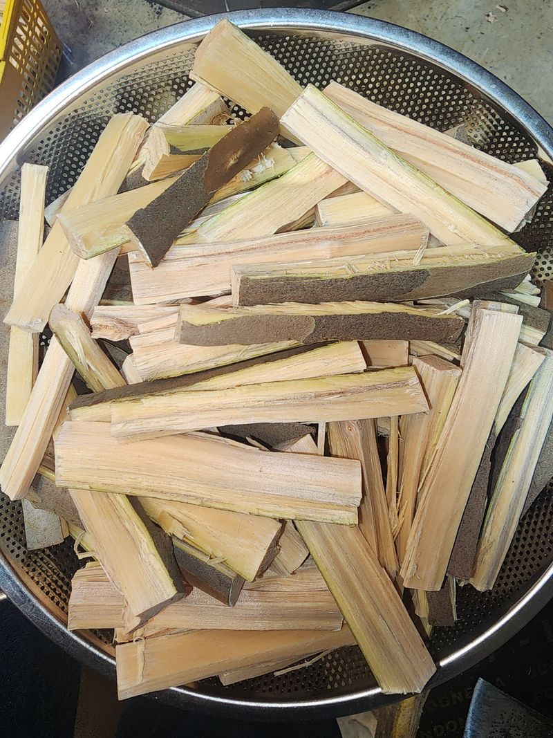 장터 상품 [노각나무(야생 특품)] 썸네일