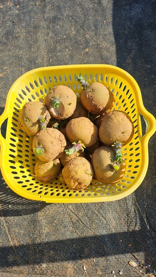 유기농으로키우자님의 자유주제 · 자유게시판 작성글 사진