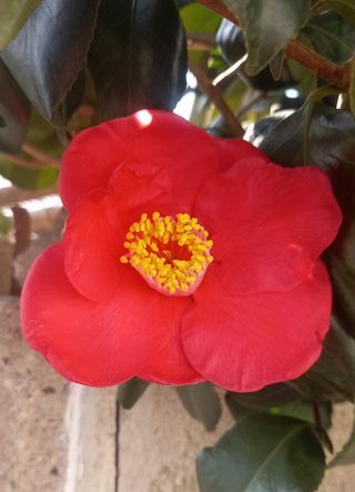 연향님의 자유주제 · 자유게시판 작성글 사진