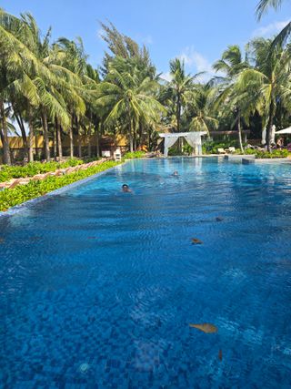 최동수님의 자유주제 · 자유게시판 작성글 사진