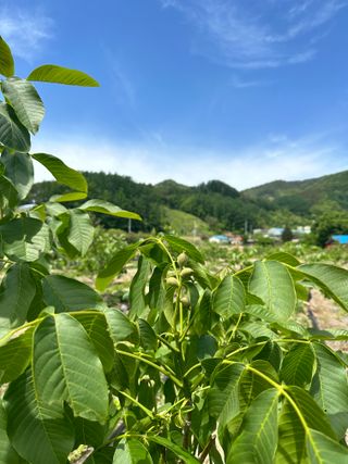 형제들농원님의 자유주제 · 자유게시판 작성글 사진