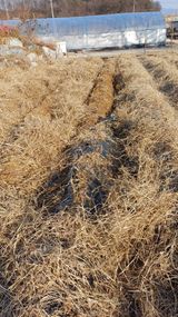 팜모닝 자유주제·자유게시판 게시글 이미지