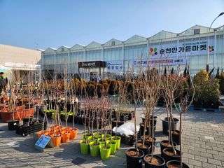 국중선님의 자유주제 · 자유게시판 작성글 사진