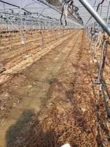 팜모닝 자유주제·자유게시판 게시글 이미지