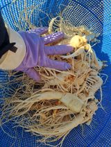 팜모닝 자유주제·자유게시판 게시글 이미지