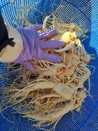 모두팜님의 자유주제 · 자유게시판 작성글 사진