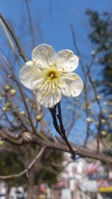 팜모닝 자유주제·자유게시판 게시글 이미지