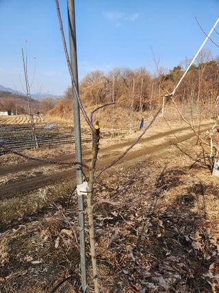 행복농원님의 자유주제 · 자유게시판 작성글 사진