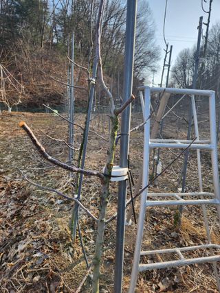 행복농원님의 자유주제 · 자유게시판 작성글 사진