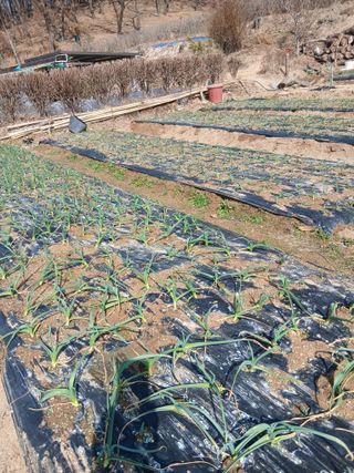 이장우님의 자유주제 · 자유게시판 작성글 사진